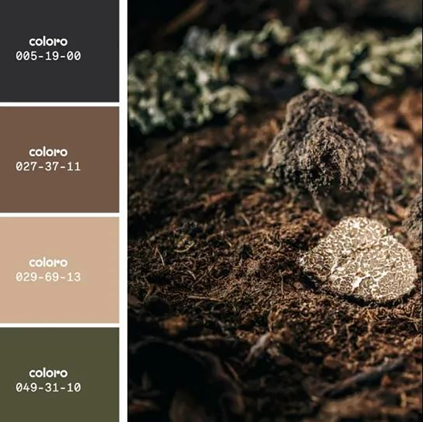 01 Truffle + Bohemian